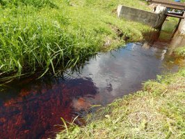 От меня немного. Так Волга начинается.