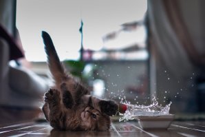 breakdance )