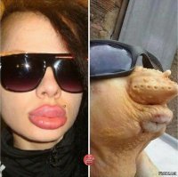 Смешные комментарии и картинки из соцсетей