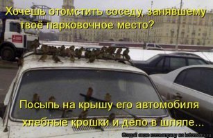 Хлебушка надо было накрошить на крышу. Или печеньку.