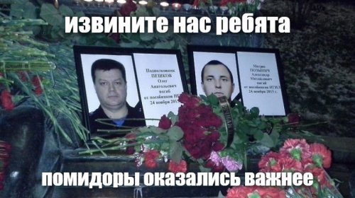 Мир на турках и саудах клином не сошелся. А "помидорки" ... думаю родные и близкие этих ребят оценят по достоинству. Как и "наташки" вместе с завсегдатаями турецкого "алинклюзива"