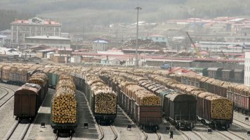 Программка про спасению сибирского леса.
Что бы лес не сгорел и его не поели насекомые было принято решение его вывезти.
