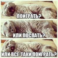 Танцующие коты