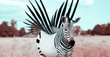 20 снимков, происходящее на которых не поддается объяснению