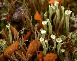 под ноги смотреть чаще надо