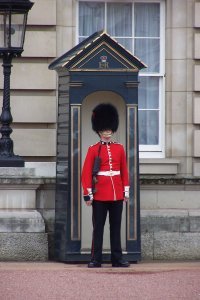 Шапки как шапки.  
Чо сразу "гидроцефалы"?..