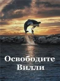 "Китовую тюрьму" в Приморье закроют, а животных выпустят на свободу