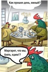 Смешные комментарии из соцсетей