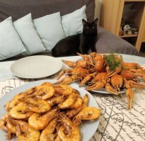 Обеденные натюрморты с нашими: Черныш и раки, Юта и гусь