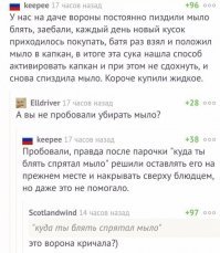 Мужчина четыре года кормил воронью семью, и те принесли ему таинственный дар