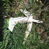 Ну это же очевидно.