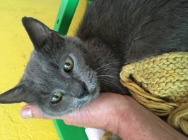 Был ещё замечательный парень, по имени Серый, подпольная кличка Субсидия. Принял грунт в прошлом году в возрасте 23 лет! Пусть покоится с миром, пипеточный рекордсмен!