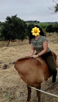 Из-за цветочка, ни кто, на коня и не смотрит.