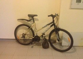 тут и качком не надо быть, гиря 24 кг, пару раз поднять сможет и дрищь, а этого вполне хватит чтоб повесить ее на руль и уехать с ней в закат.