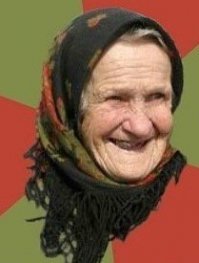 Порт Амстердама