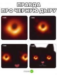 Скрины из социальных сетей