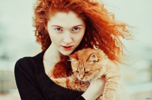 И в качестве контрольного..