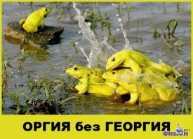 Скрины из социальных сетей