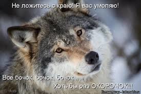 Прикольные и смешные картинки
