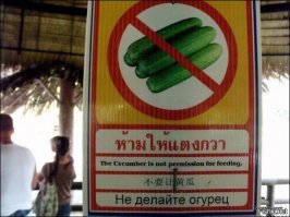 Ну о смысле многих объявлений выше , можно догадаться А вот о чем здесь речь лично я теряюсь