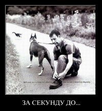 хоть и боян,но смешно.