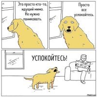 Почему собаки лают?