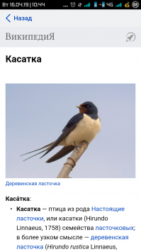 С касатками??? Бедные птички...