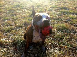 Вот оно - счастье!