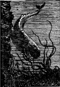 Когда монстров вымывает на берег: кто такие глобстеры