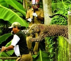 19 неожиданных снимков из серии "За секунду до...", на которых скоро произойдет катастрофа