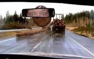 19 неожиданных снимков из серии "За секунду до...", на которых скоро произойдет катастрофа