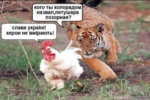19 неожиданных снимков из серии "За секунду до...", на которых скоро произойдет катастрофа