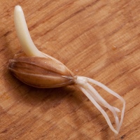 мутанты среди нас!!! мутанты наступают!!!