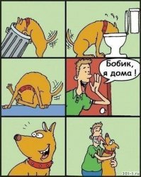 10 собачьих "почему?", или Всё, что вы хотели знать о лучшем друге человека