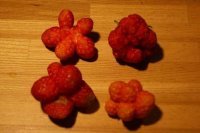 периодически на даче встречается ... так что у меня на даче фокусима?
:)