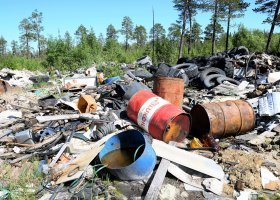 18 необычных и даже жутких вещей, которые люди обнаружили, прогуливаясь по лесу