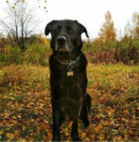 С пожарного депо забрала.Спасти спасли, а куда его дальше? Позвонили мне. 12 лет вместе :)