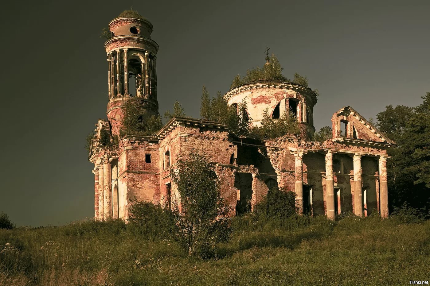 Фото разрушенных церквей. Руинированный храм в России. Заброшенный храм Церковь Краснодарский край. Заброшенные и разрушенные церкви Вологодской области. Руины Никольской церкви в Гостинополье.