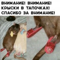 Сверхчеловеческие навыки