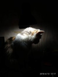Прикольные и смешные картинки