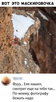 хорошо что не вот это