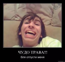Это из разряда