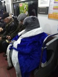 Жителю Нью-Джерси дважды за два дня улыбнулась невероятная удача