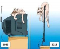 Свежая подборка демотиваторов, которые поднимут вам настроение