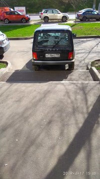Люди, которых срочно нужно вывезти в лес и оставить там жить	