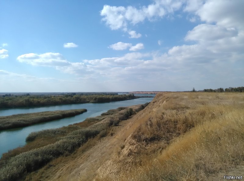 Дон ниже по течению Цимлянского моря.