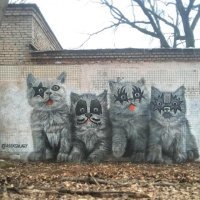 Группа "Kass-Kiss"