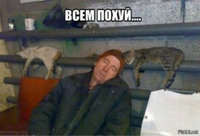 Почему пожар в Нотр-Дам не трагедия и почему пожарные не виноваты