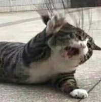 Мои заблуждения!