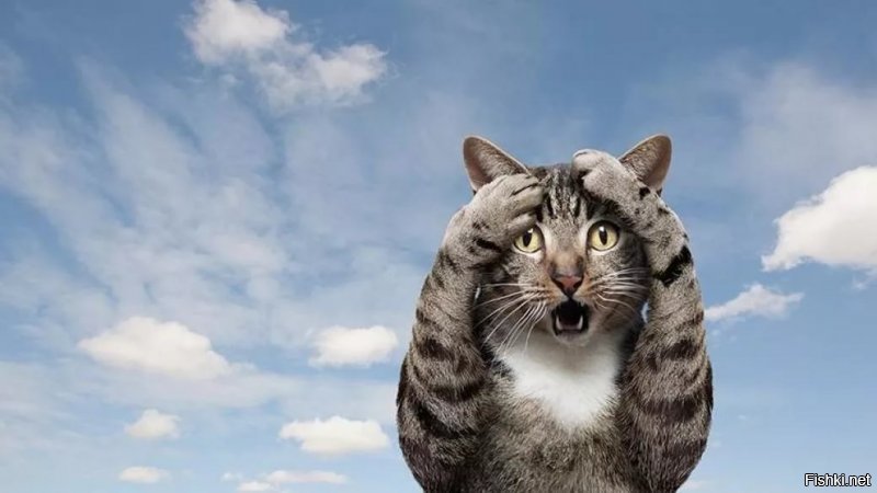 17 людей, которые вели себя как полные засранцы, и их наказала карма